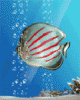 anim176220mobildesign.atw.hu_0259.gif